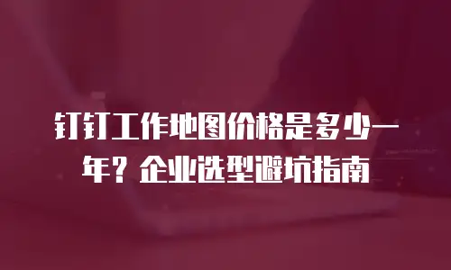 钉钉工作地图价格是多少一年？企业选型避坑指南
