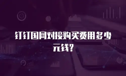钉钉国网对接购买费用多少元钱？