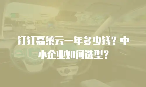 钉钉嘉策云一年多少钱？中小企业如何选型？