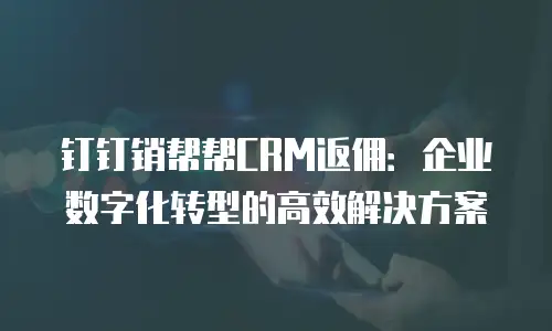 钉钉销帮帮CRM返佣：企业数字化转型的高效解决方案