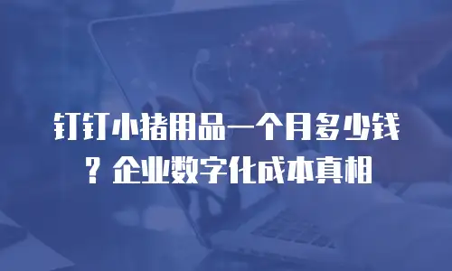 钉钉小猪用品一个月多少钱？企业数字化成本真相