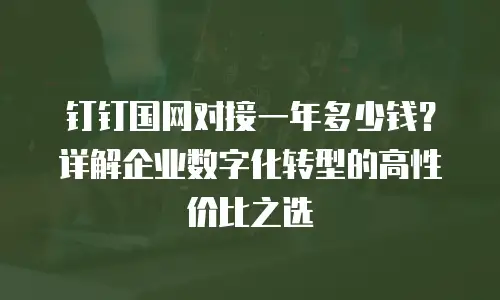钉钉国网对接一年多少钱？详解企业数字化转型的高性价比之选
