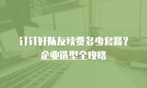 钉钉好队友续费多少套餐？企业选型全攻略