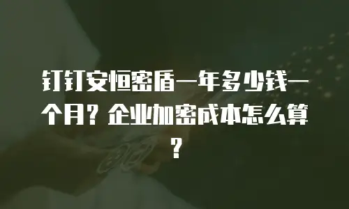 钉钉安恒密盾一年多少钱一个月？企业加密成本怎么算？
