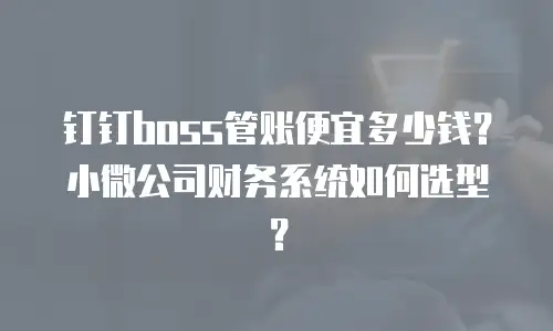 钉钉boss管账便宜多少钱？小微公司财务系统如何选型？