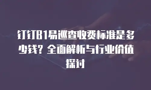 钉钉B1易巡查收费标准是多少钱？全面解析与行业价值探讨