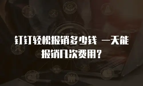 钉钉轻松报销多少钱 一天能报销几次费用？