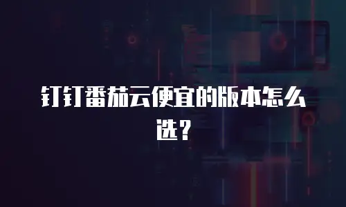 钉钉番茄云便宜的版本怎么选？