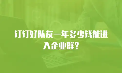 钉钉好队友一年多少钱能进入企业群？