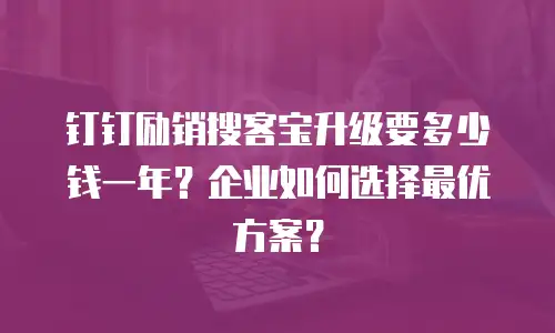 钉钉励销搜客宝升级要多少钱一年？企业如何选择最优方案？