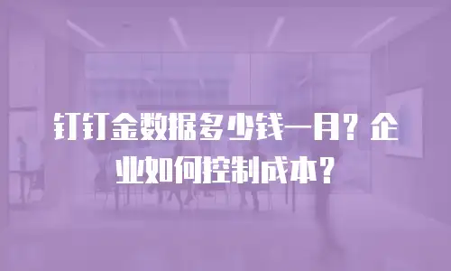 钉钉金数据多少钱一月？企业如何控制成本？