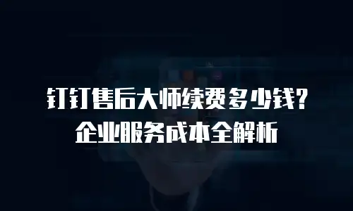 钉钉售后大师续费多少钱？企业服务成本全解析