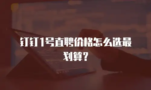 钉钉1号直聘价格怎么选最划算？
