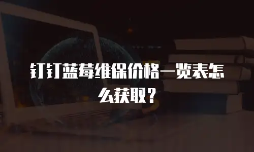 钉钉蓝莓维保价格一览表怎么获取？