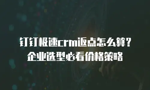 钉钉极速crm返点怎么算？企业选型必看价格策略