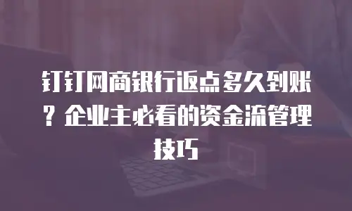 钉钉网商银行返点多久到账？企业主必看的资金流管理技巧