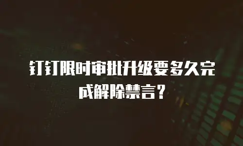 钉钉限时审批升级要多久完成解除禁言？