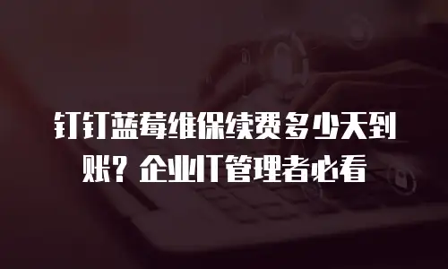 钉钉蓝莓维保续费多少天到账？企业IT管理者必看