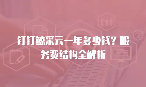 钉钉鲸采云一年多少钱？服务费结构全解析