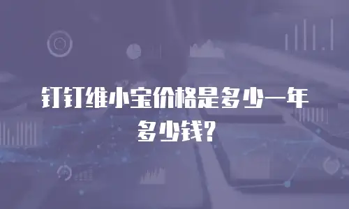 钉钉维小宝价格是多少一年多少钱？