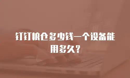 钉钉粮仓多少钱一个设备能用多久？