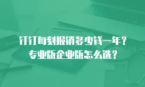 钉钉每刻报销多少钱一年？专业版企业版怎么选？