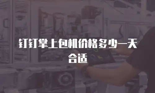钉钉掌上包机价格多少一天合适