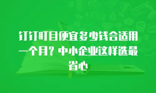钉钉盯目便宜多少钱合适用一个月？中小企业这样选最省心