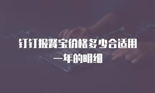 钉钉报餐宝价格多少合适用一年的明细