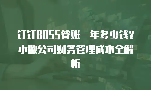 钉钉BOSS管账一年多少钱？小微公司财务管理成本全解析