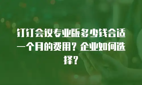 钉钉会议专业版多少钱合适一个月的费用？企业如何选择？