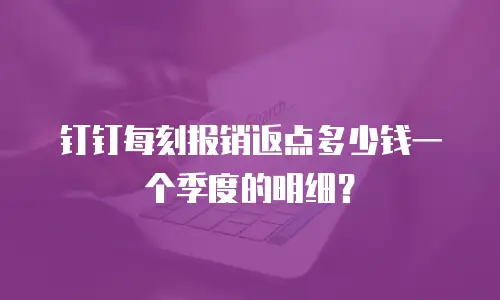 钉钉每刻报销返点多少钱一个季度的明细？
