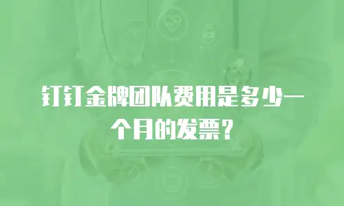 钉钉金牌团队费用是多少一个月的发票？