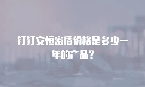 钉钉安恒密盾价格是多少一年的产品？