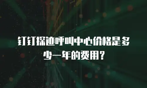 钉钉探迹呼叫中心价格是多少一年的费用？