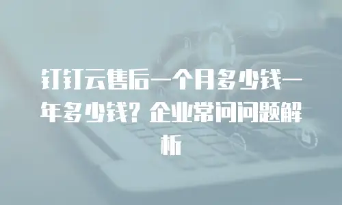 钉钉云售后一个月多少钱一年多少钱？企业常问问题解析