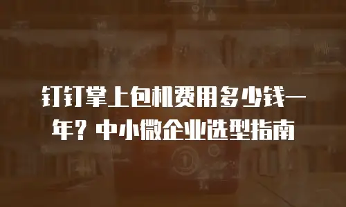 钉钉掌上包机费用多少钱一年？中小微企业选型指南