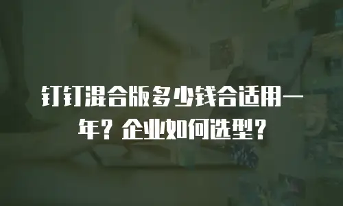 钉钉混合版多少钱合适用一年？企业如何选型？
