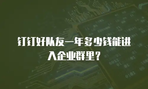 钉钉好队友一年多少钱能进入企业群里？