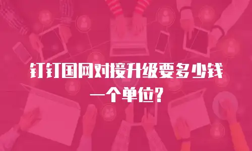 钉钉国网对接升级要多少钱一个单位？