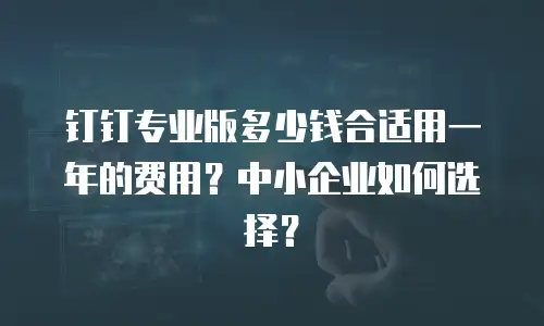 钉钉专业版多少钱合适用一年的费用？中小企业如何选择？