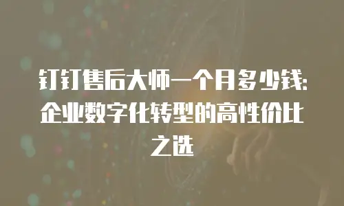 钉钉售后大师一个月多少钱：企业数字化转型的高性价比之选