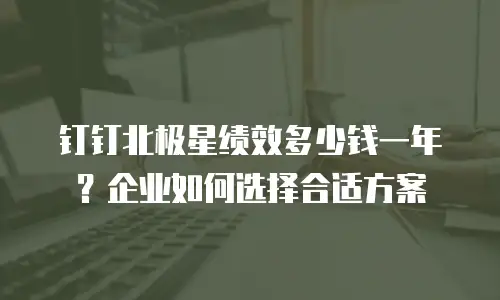 钉钉北极星绩效多少钱一年？企业如何选择合适方案