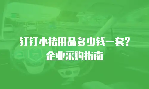 钉钉小猪用品多少钱一套？企业采购指南