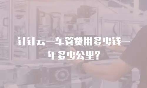 钉钉云一车管费用多少钱一年多少公里？