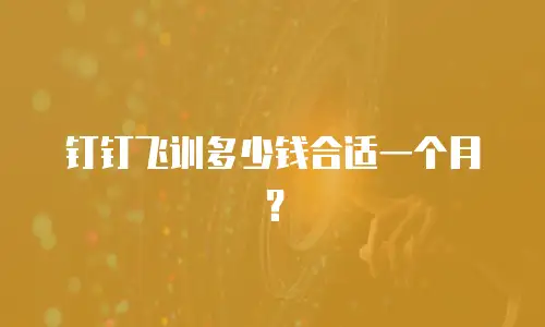 钉钉飞训多少钱合适一个月？