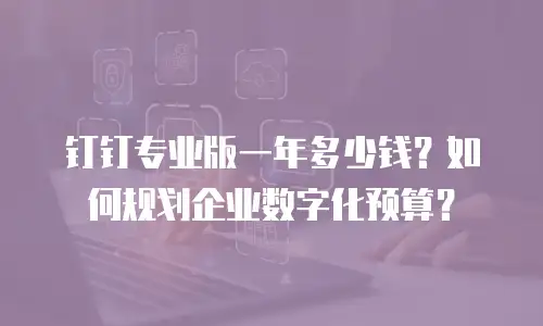 钉钉专业版一年多少钱？如何规划企业数字化预算？