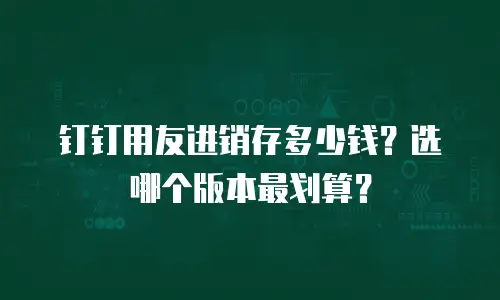 钉钉用友进销存多少钱？选哪个版本最划算？