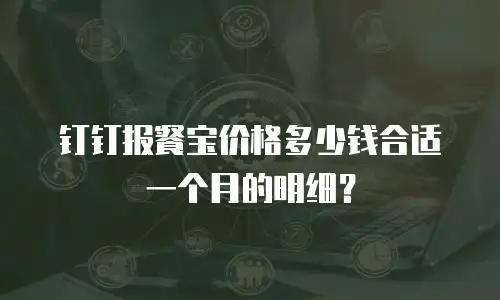 钉钉报餐宝价格多少钱合适一个月的明细？