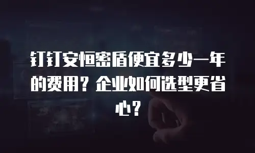 钉钉安恒密盾便宜多少一年的费用？企业如何选型更省心？
